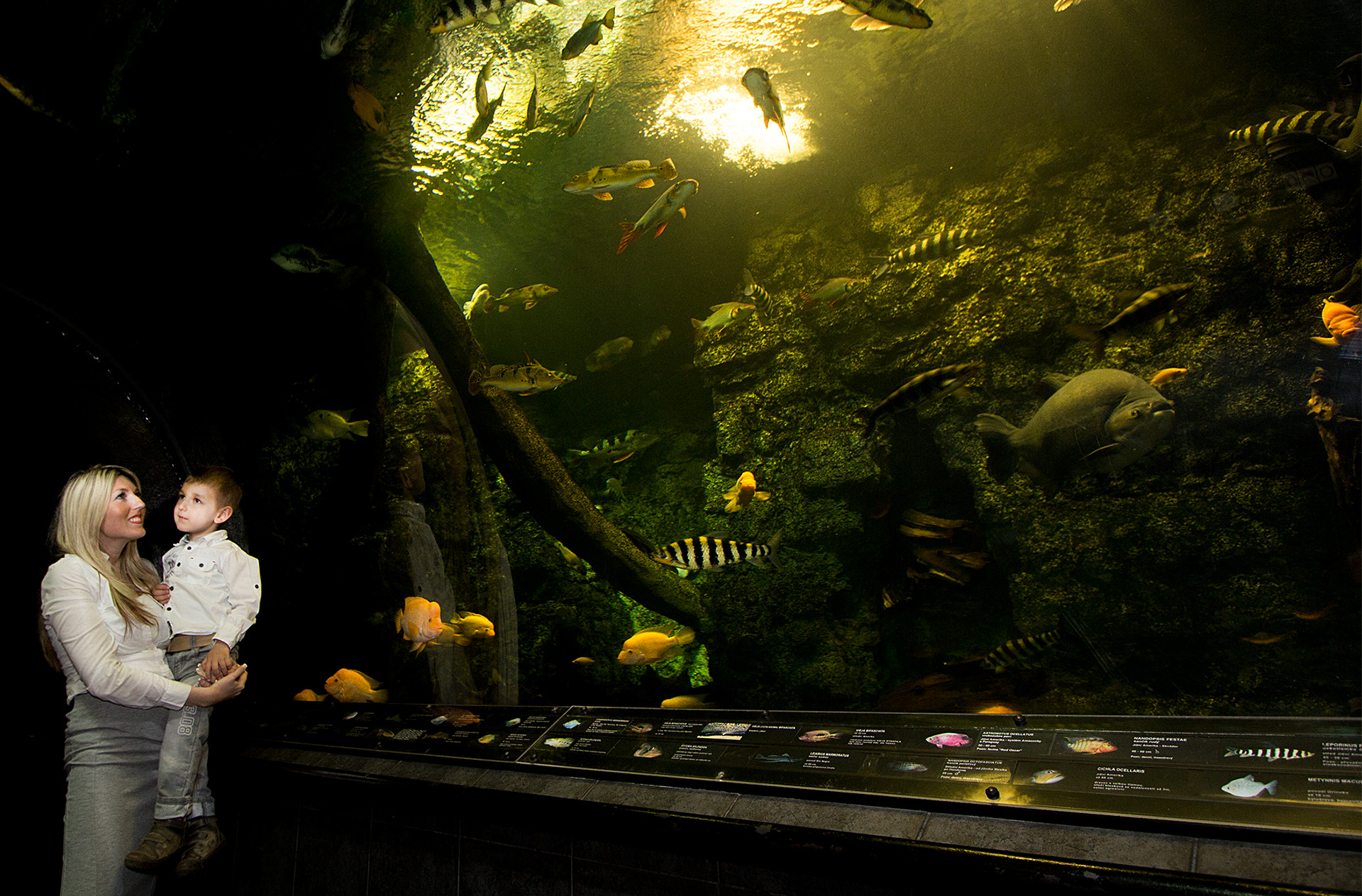Largest fresh water aquarium in CZ